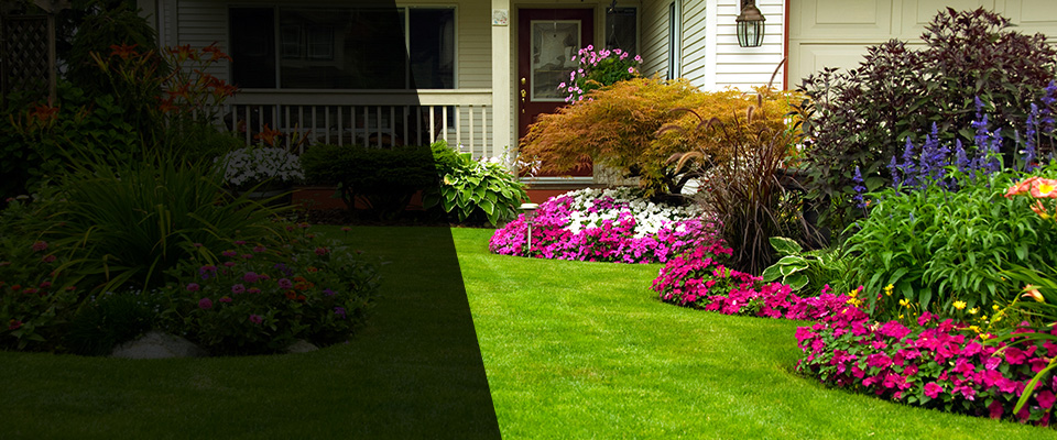 Dunn Loring Landscapers