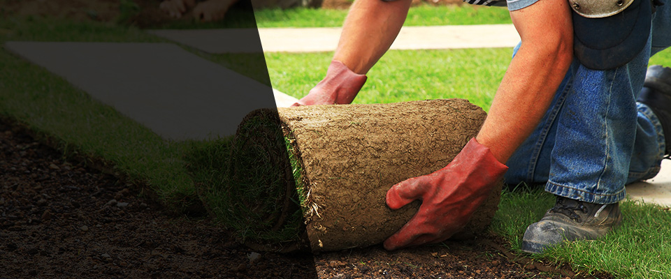 Dunn Loring Landscapers